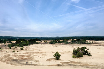Nature reserve Kootwijkerzand, Gelderland Province, The Netherlands