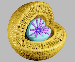 Isolated Lipid bilayer coating nanoparticle drug delivery inside of mesoporous silica 3d rendering