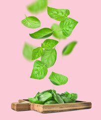 Board with flying basil leaves on color background - obrazy, fototapety, plakaty