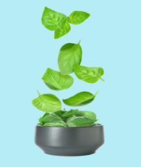 Bowl with flying basil leaves on color background