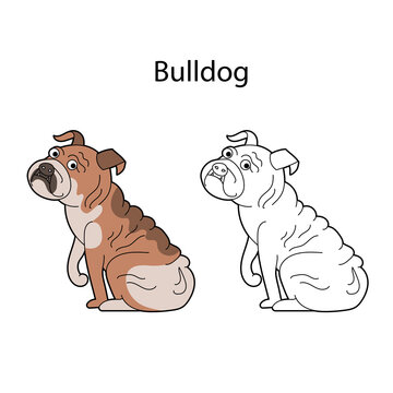 Pretty pet dog. Breed bulldog. Funny cute animal isolated on white background. Linear, monochrome and colored version. Illustration can be used as symbol, for coloring book and pictures for children.