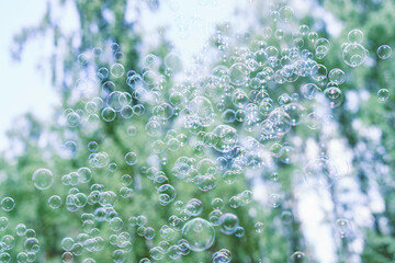 Soap bubbles floating in the air, green trees background.