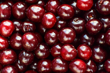 Ripe cherry berries with water drops as texture and background. Selective focus.