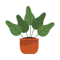 houseplant in orange pot