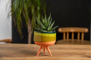 colorful ceramic cactus vase in design living room