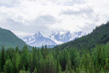 snowy peaks surrounded by mountains covered with green forest