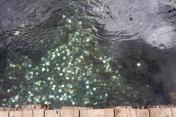 coins in the stream by the wooden walkway