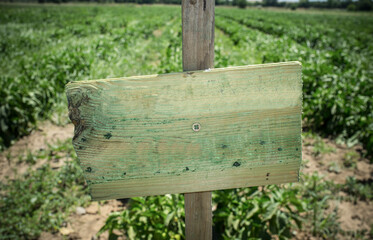 Wooden sign used for identify vegetable varieties