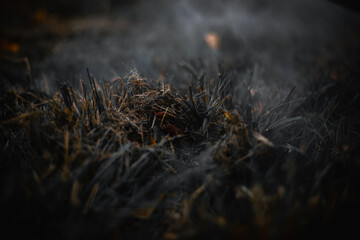 fire and smoke in the grass. upcoming wildfire. 