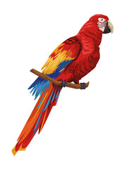 macaw bird icon © Jemastock