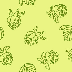 Seamless pattern with green berries. Raspberries, blackberries. Great for packaging design, textiles, paper, tea, decals.