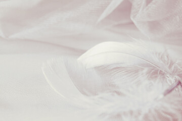 Gray draped tulle with feathers on white