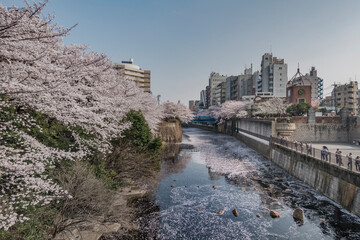 canal in the city