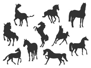 Set vector of the Horses, The shadow of different poses isolated on white background.