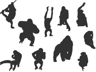 Set vector of the Monkey, The shadow of different poses isolated on white background.