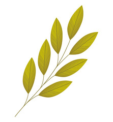 autumn jagged leaves