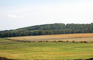 Rolls of hay lying along the road which cut the field on two pieces, and large wooded hill in the background.