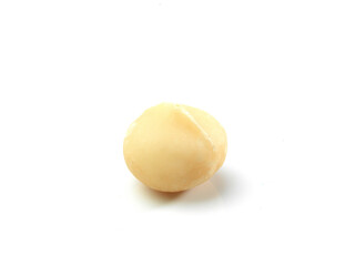 macadamia nut single
