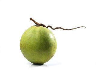 coconut single fruit