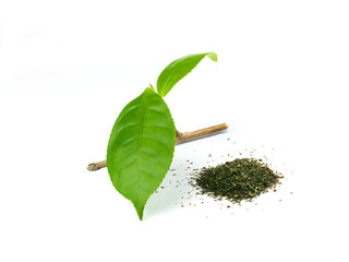 fresh tea leaf