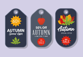 three autumn sale tags