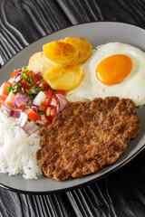 Silpancho is an incredible Bolivian meal made of rice and is topped with a pan fried burger, salsa, fried potatoes, and egg closeup in the pan on the table. Vertical