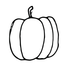 Pumpkin doodle.Line art.