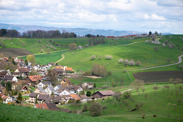 Switzerland, Canton Basel Country,Olsberg; surrounding of Arisdorf, landscape