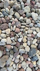 rocky garden stone of various shapes and colors