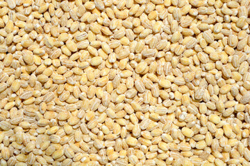 Barley seeds
