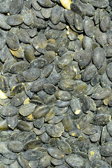 Pumpkin seeds