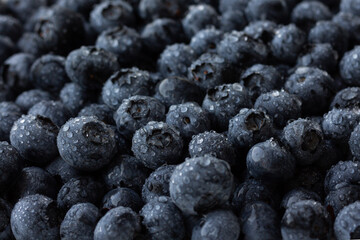 Blueberry in the water drops 