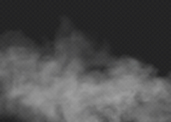 Fototapeta premium Fog or smoke isolated transparent special effect. White vector cloudiness, mist or smog background. Vector illustration