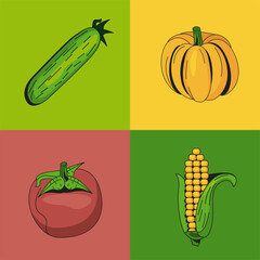Healthy and organic vegetables symbol collection
