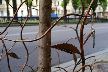 bird on a tree