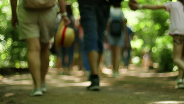 Crowd of people with their families walk through the park trail and enjoy the sunshine on a summer day. Blurred background.