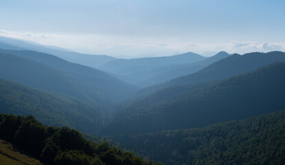 Forests of the Irati forest from the top of Larrau, Navarre