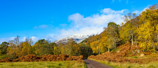 Fototapeta na wymiar Glen Strathfarrar in Autumn. A panoramic view of the Glen with single track road, blue sky, snow topped munro. golden leaves and bracken. Scottish Highlands, UK. Space for copy.