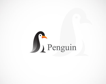 penguin logo creative animal wild bird icon design template