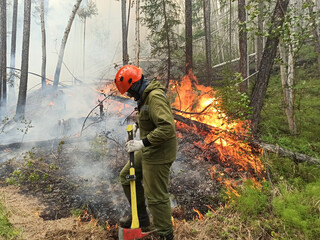A fireman in a helmet and a fireman with a brush against a forest fire in Russia, Yakutia. Man extinguishes fire in the smoke in the forest.