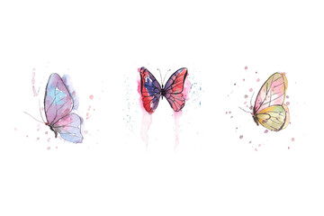 Watercolor butterfly , isolated on white - obrazy, fototapety, plakaty