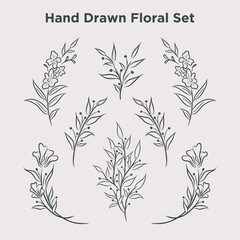 hand drawn floral set