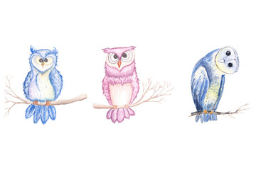 Watercolor owl in ultraviolet color. Hand drawn illustration with bird in boho style.