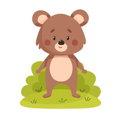 Single cute bear. Anthropomorphic brown bear standing on grass with white background. Flat vector children illustration.
