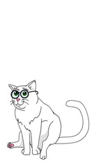 white cat with glasses