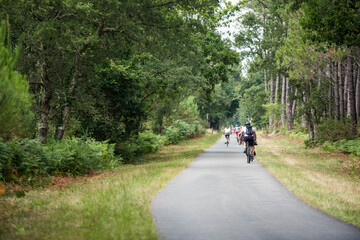 Obraz premium cyclists cycling on the cycle path crossing the forest