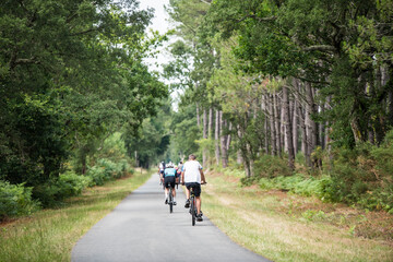 Obraz premium cyclists cycling on the cycle path crossing the forest