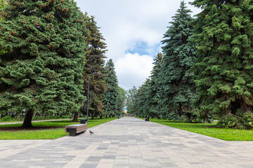 A path of paving slabs in a park