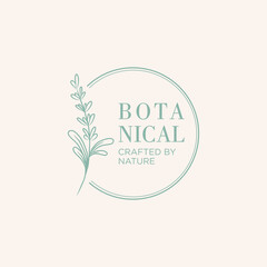 illustration of a botanical leaf logo design