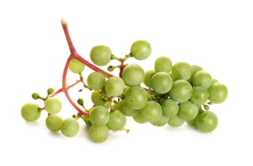 Unripe green grapes bunch isolated on white background